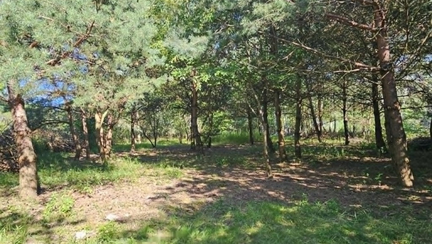 Działka Sprzedaż Żelechów